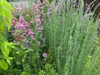 IMG_2408.webp