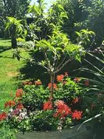 IMG_20260606_095415.webp
