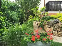 IMG_20260605_152558.webp
