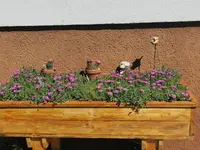 IMG_20260606_095056.webp