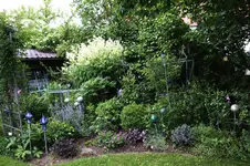 Juni          1526.webp