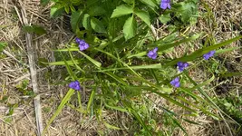 IMG_8755.webp