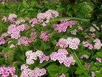 IMG_20260608_132259.webp