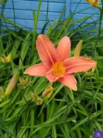 IMG_20260608_131951.webp