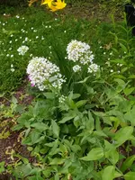 IMG_20260608_131810.webp