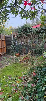20241003_182702.webp