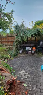 20241003_182633.webp