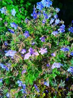 IMG_20260605_084301.webp