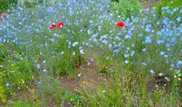 IMG_20260609_151105.webp