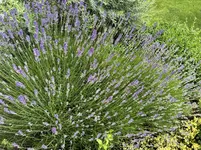 11.06.26 L.webp