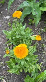 IMG_8790.webp