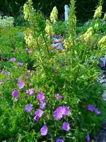 IMG_20260611_162143_1.webp