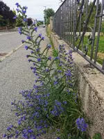 IMG_20260606_170202.webp