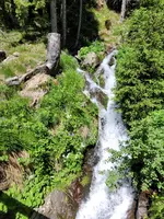 20260613_120542.webp