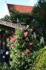 Juni          2126.webp
