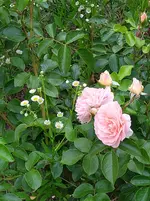IMG_20260616_184033_1.webp
