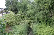 Linde 0326.webp