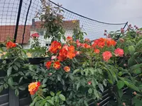 20260616_115419.webp