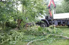 Linde 0626.webp