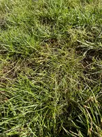 IMG_1373.webp