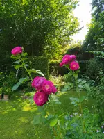IMG_20260619_144014.webp