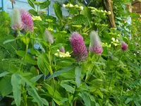 IMG_20260619_143755.webp