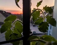 markup_4469.webp