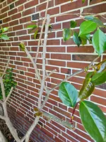 20260621_133632.webp