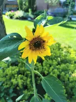 IMG_20260618_163547.webp