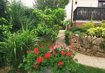 IMG_20260616_191817.webp