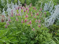 IMG_20260622_055742_1.webp