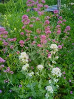 IMG_20260622_061051_1.webp