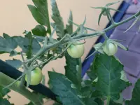 20260622_213323.webp