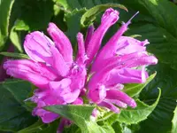 013.webp