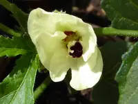 022.webp