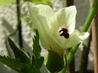 023.webp