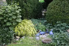 Juni          6426.webp