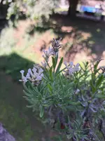 20260624_114810.webp