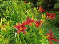 IMG_20260625_105057.webp