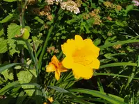 IMG_20260625_105247.webp