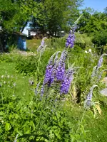 IMG_20260625_105022.webp