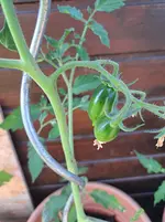 20260625_085312.webp