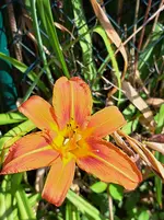 20260623_094632.webp