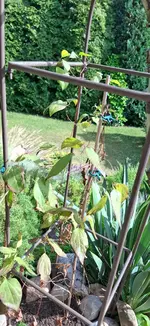 20260624_172606.webp