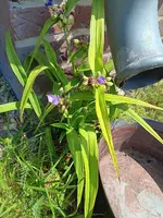 20260628_114646.webp