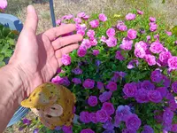 20260628_114814.webp
