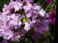 001.webp