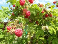 100_0082_800x600.webp
