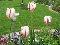 2009_04_27 15_10_28.webp