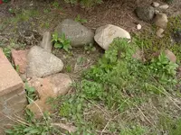 27.04.2010 003.webp